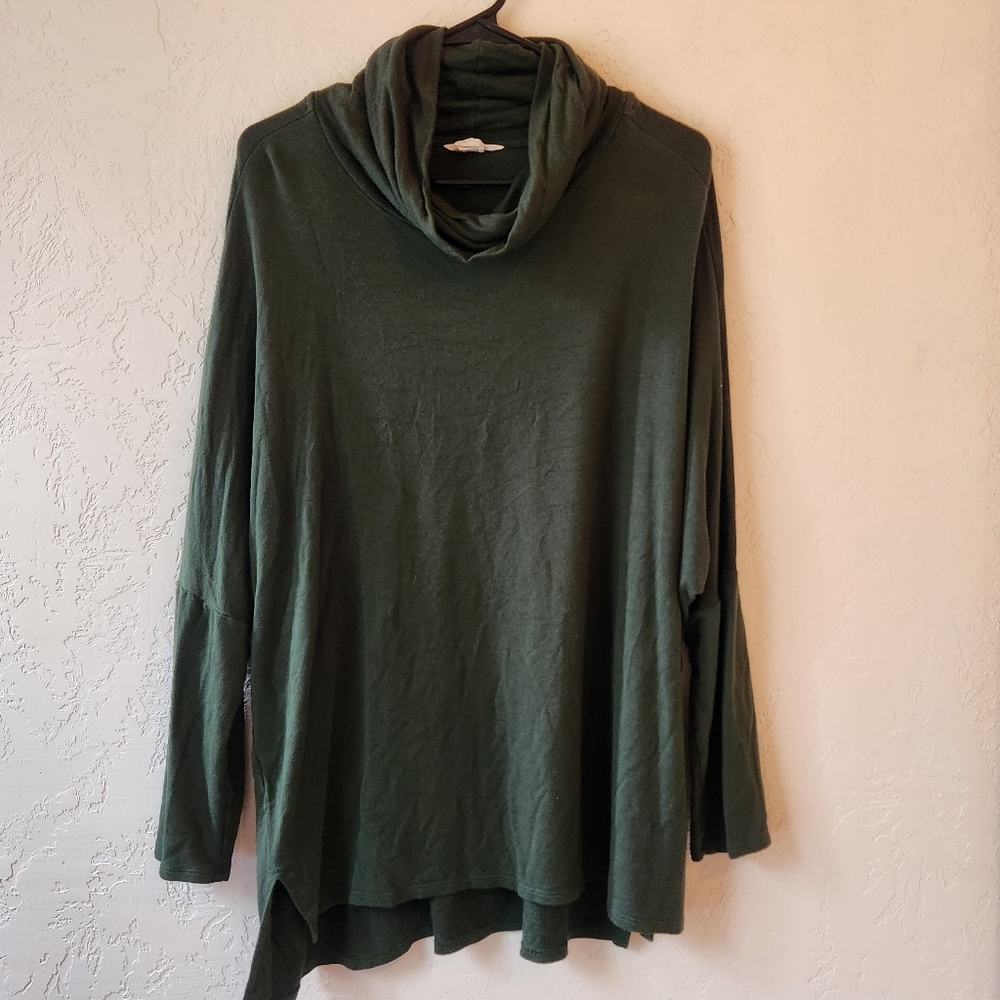 Caslon Dolman Sleeve Cowl Neck Top